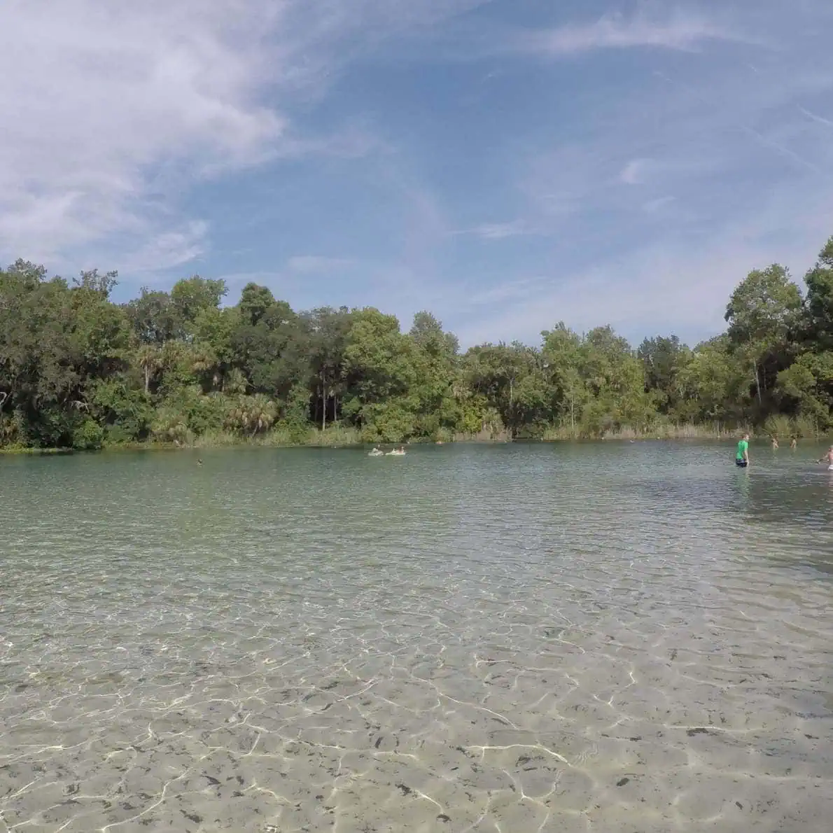 The swimming area at Alexander Springs State Park in Ocala, Florida with shallow clear water and white sandy bottom on a bright and sunny summer day.
