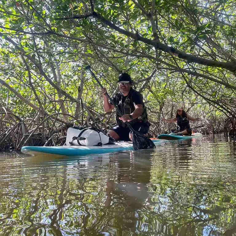 Essential Gear to Jumpstart Your Paddleboarding Journey – Walk and Paddle