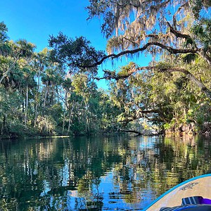 14 Must-Do Activities at Blue Spring State Park – Walk and Paddle