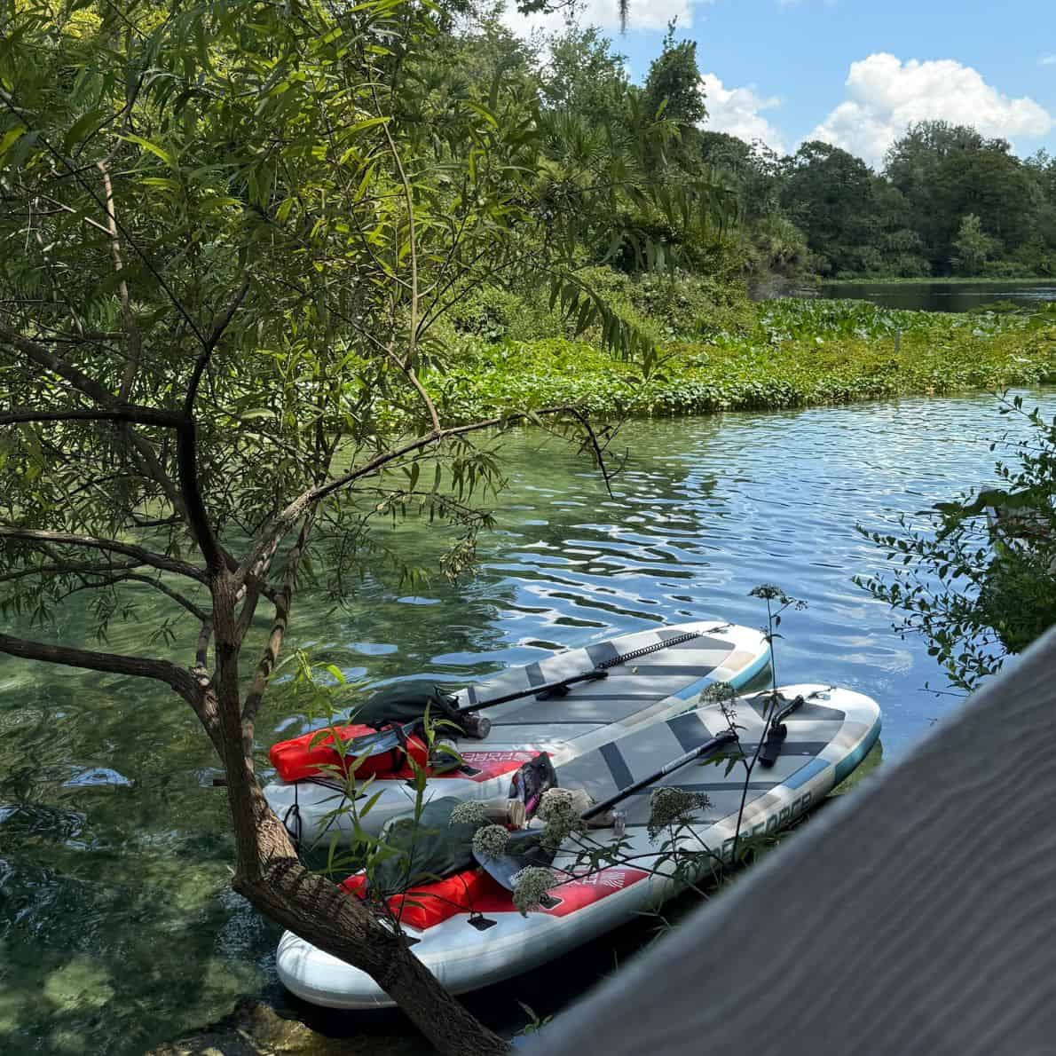 Two paddleboards with gear floating near the shoreline outside the spring swim area.