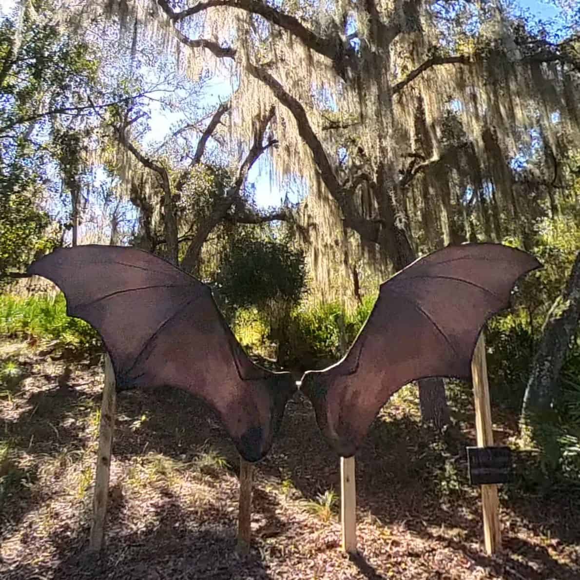 Large bat-shaped plywood wings installed on wooden posts under oak trees with hanging Spanish moss at D Ranch Preserve.