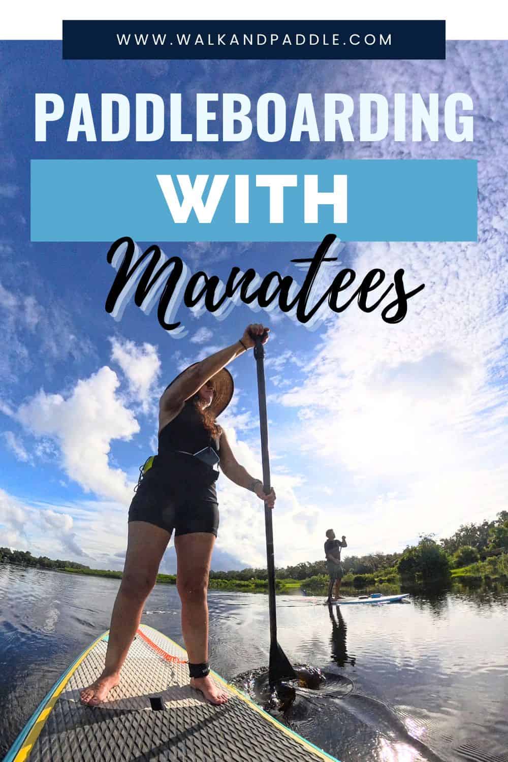 Woman paddleboarding on calm water under a bright blue sky with clouds, text overlay reads “Paddleboarding with Manatees” from Walk and Paddle