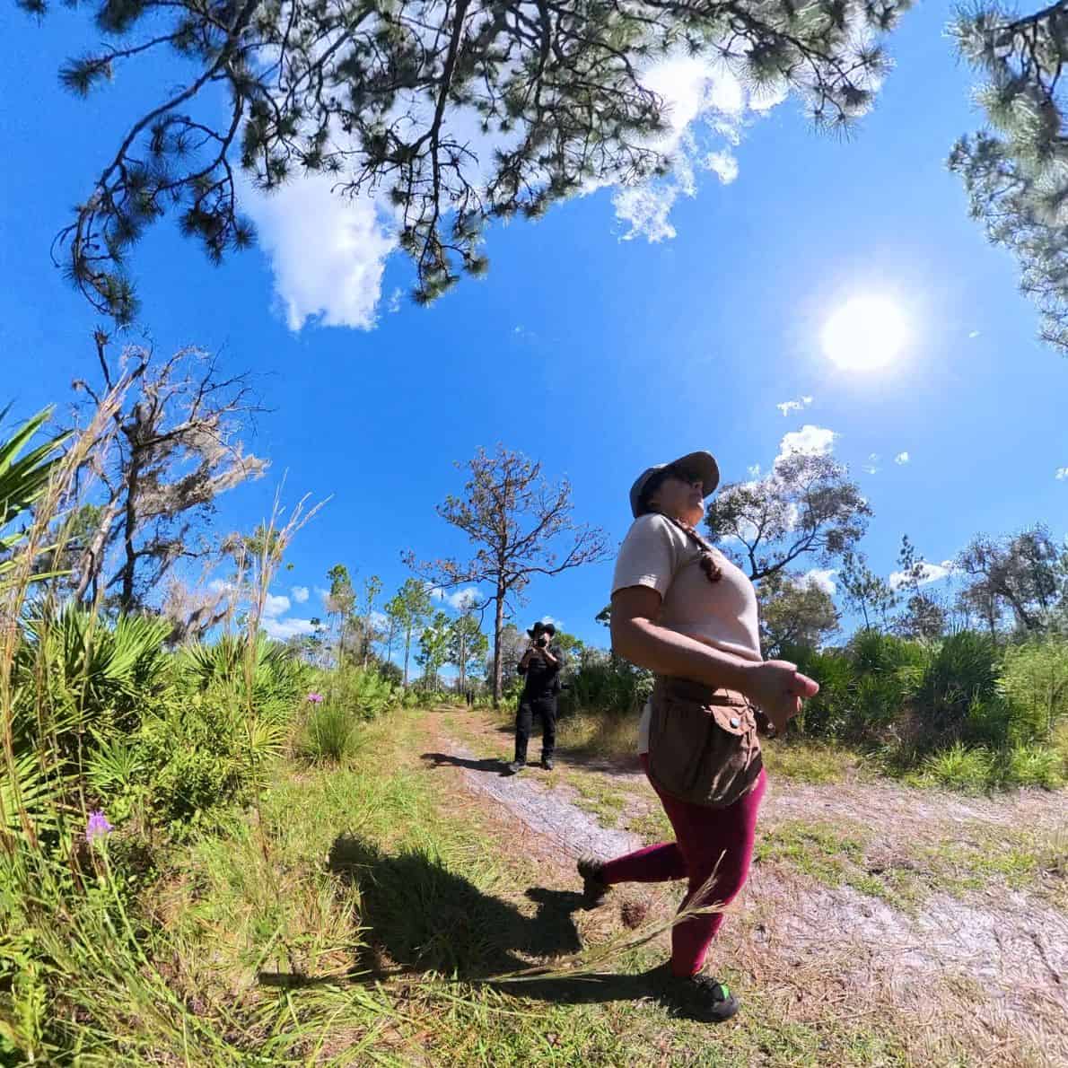 Two hikers walking a sunny trail lined with pines and palmettos at D Ranch Preserve.