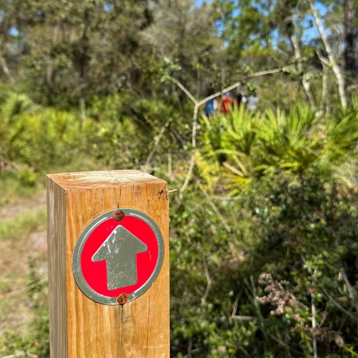 Wooden post trail marker with a red arrow pointing forward along a palmetto-lined path at D Ranch Preserve.