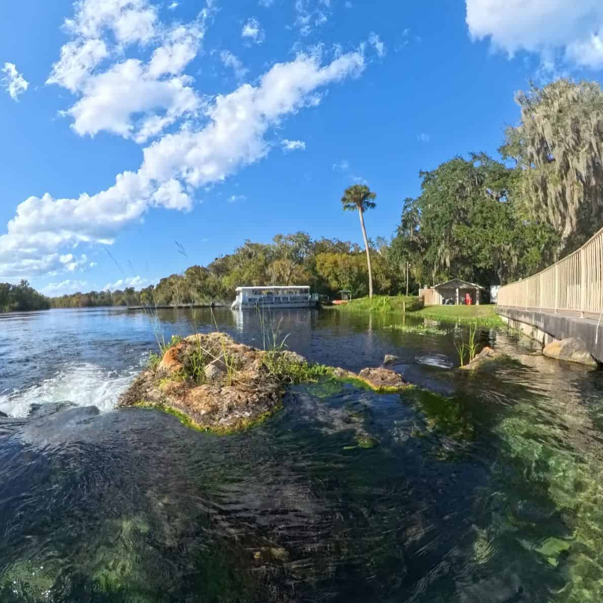 Eco tour boat docked in the spring run at De Leon Springs State Park under a bright blue sky.