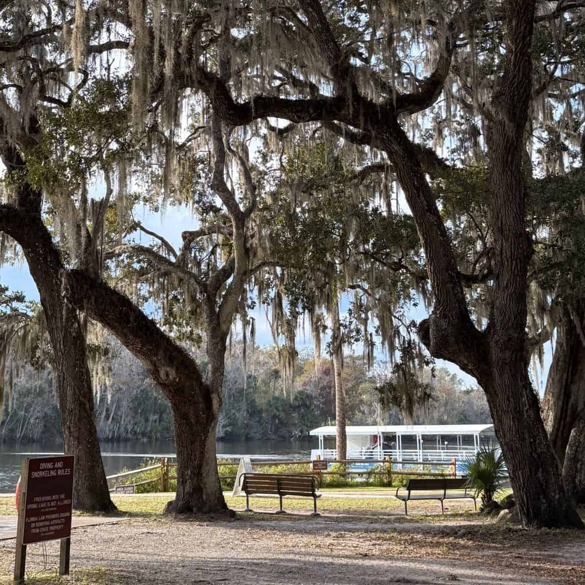 Eco-boat docked near the water at De Leon Springs State Park, viewed through oak trees with hanging moss.