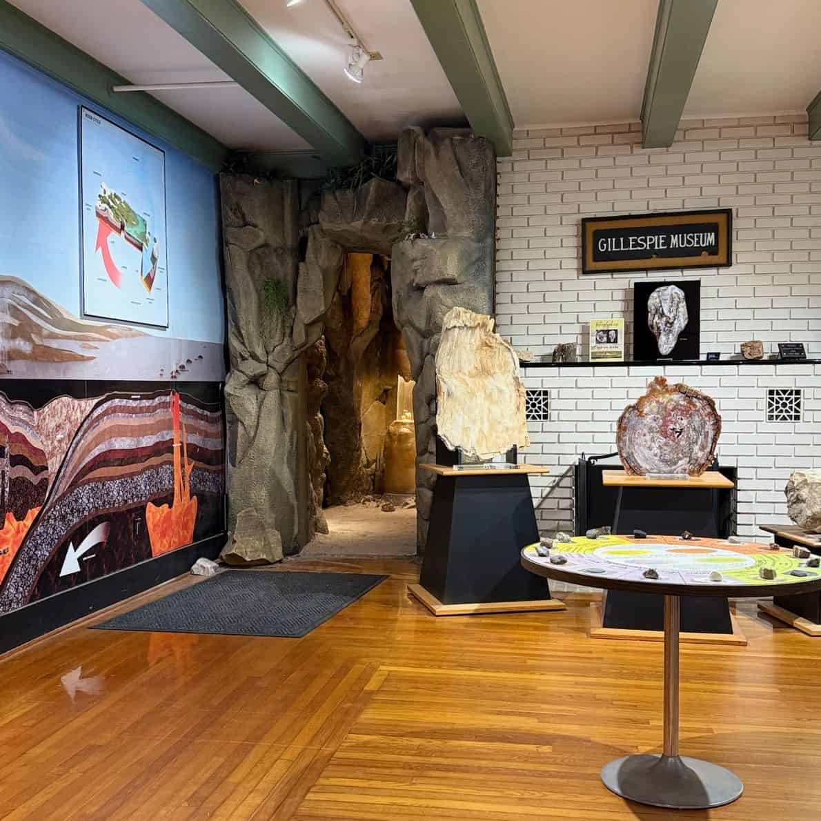Museum exhibit with lava diagram wall and large petrified wood pieces on display