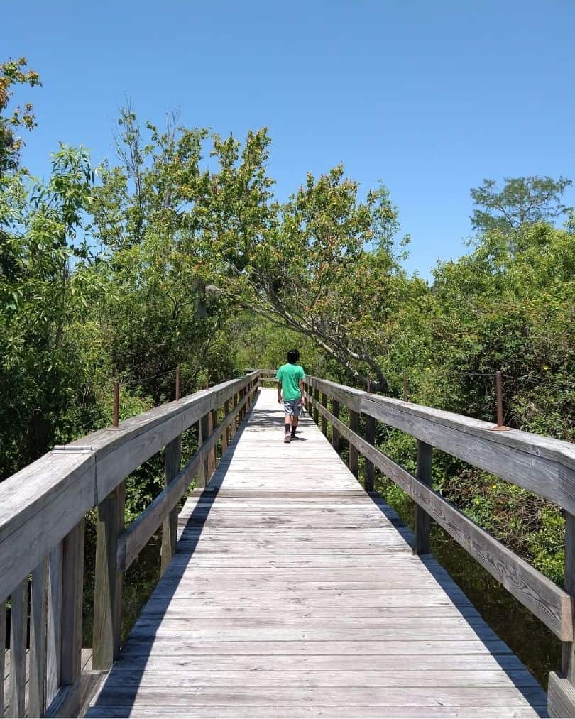 A child walks along a wooden boardwalk surrounded by greenery at Trout Lake Nature Center.
